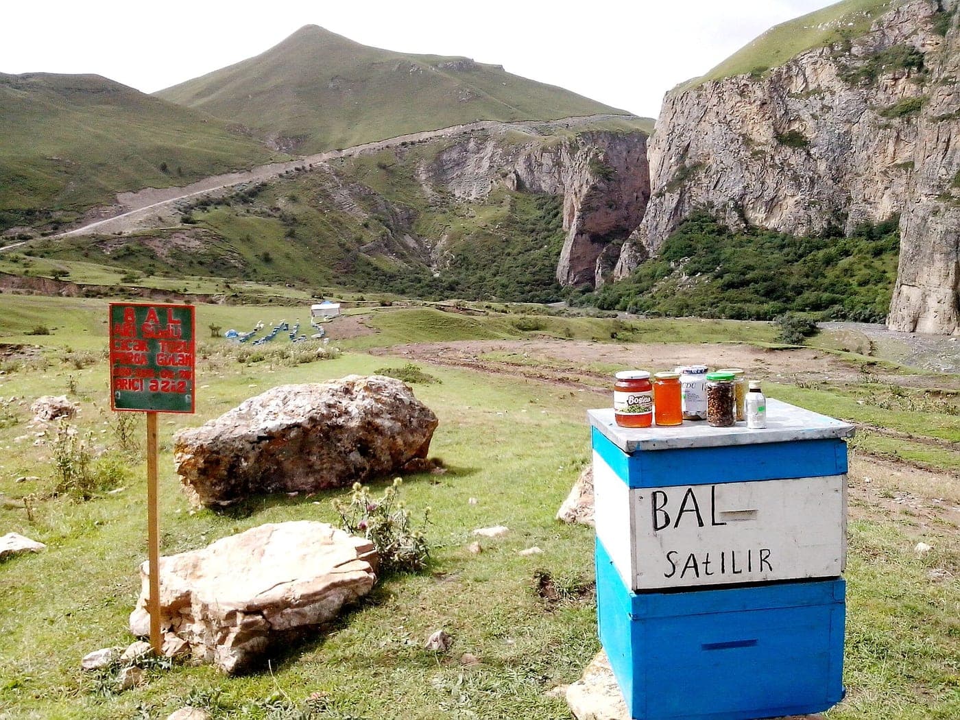 Biçənək dağ balı, 2026 yığımı